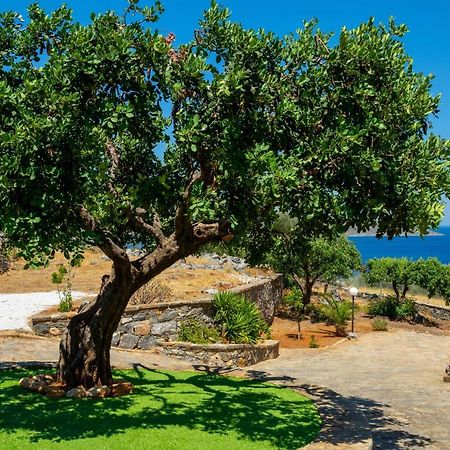 Elounda Anemelia Apartments 外观 照片