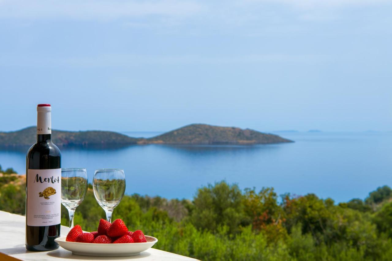 Elounda Anemelia Apartments 外观 照片
